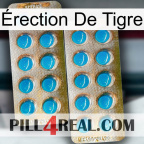 Érection De Tigre new08